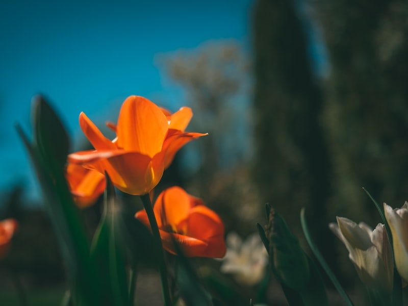Concrete pouring construction